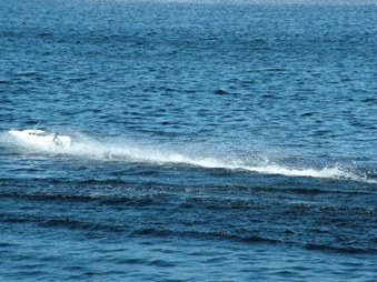 Enlarge photo 1273