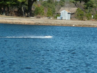Enlarge photo 1284