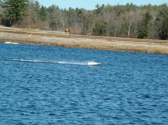 Enlarge photo 1286