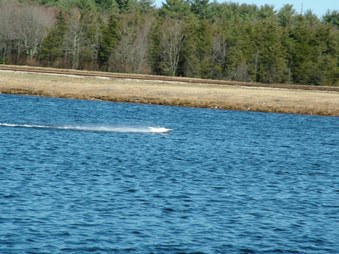 Enlarge photo 1287