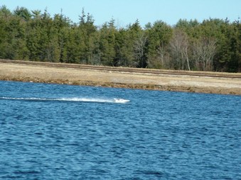 Enlarge photo 1288
