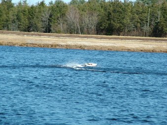 Enlarge photo 1289