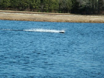 Enlarge photo 1291