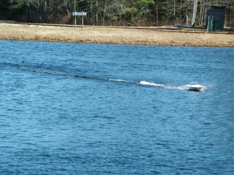 Enlarge photo 1292