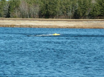 Enlarge photo 1294