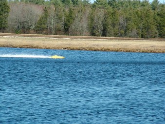 Enlarge photo 1298