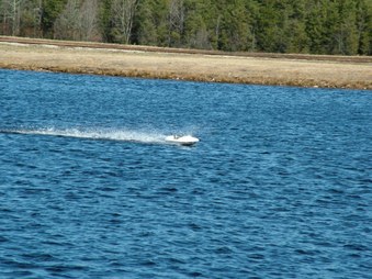 Enlarge photo 1317