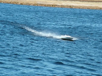 Enlarge photo 1319