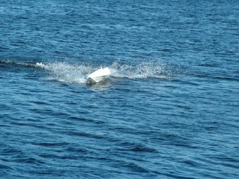 Enlarge photo 1320