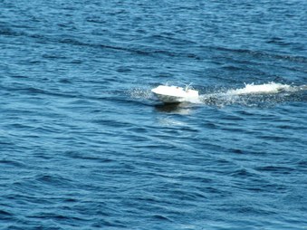 Enlarge photo 1321