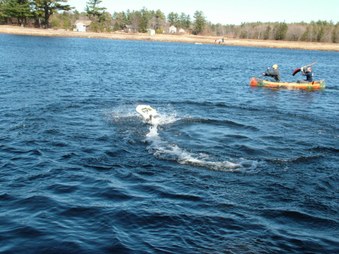 Enlarge photo 1326