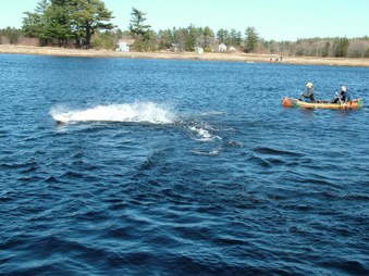 Enlarge photo 1327