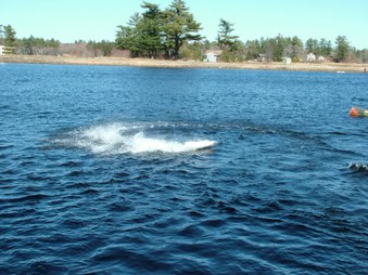 Enlarge photo 1328