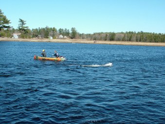 Enlarge photo 1332