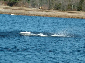 Enlarge photo 1333