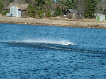 Enlarge photo 1334