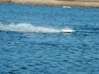 Enlarge photo 1336