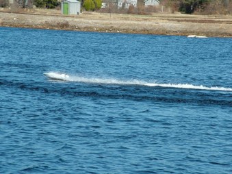 Enlarge photo 1338