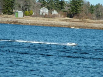 Enlarge photo 1340