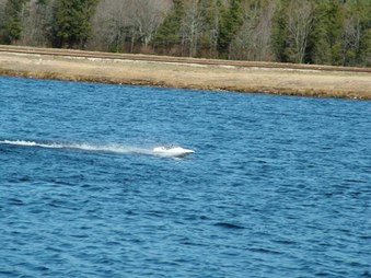 Enlarge photo 1341