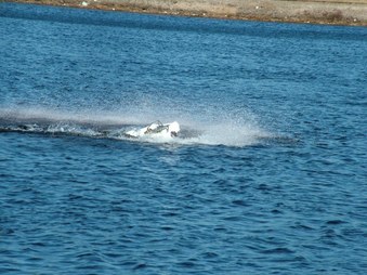 Enlarge photo 1349