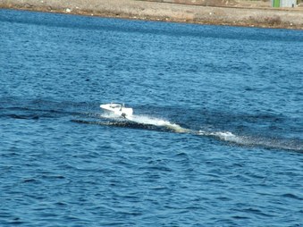 Enlarge photo 1350