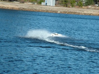 Enlarge photo 1351