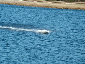 Enlarge photo 1354