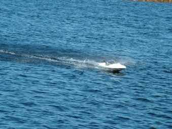 Enlarge photo 1355