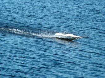 Enlarge photo 1356