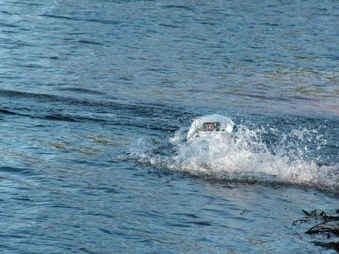 Enlarge photo 1358