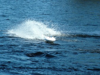 Enlarge photo 1363