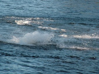 Enlarge photo 1364