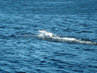 Enlarge photo 1369