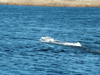 Enlarge photo 1370