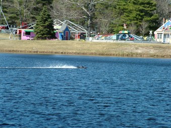 Enlarge photo 1384