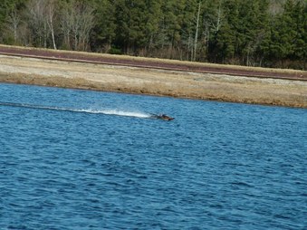 Enlarge photo 1387