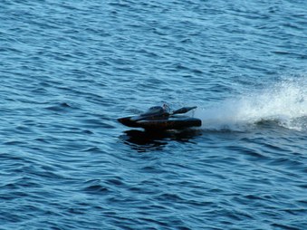 Enlarge photo 1392