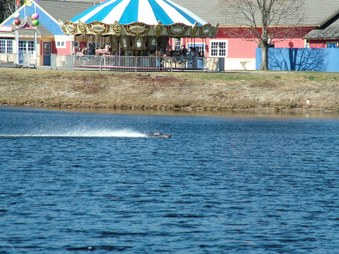 Enlarge photo 1410