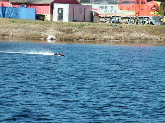 Enlarge photo 1411
