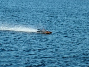 Enlarge photo 1415