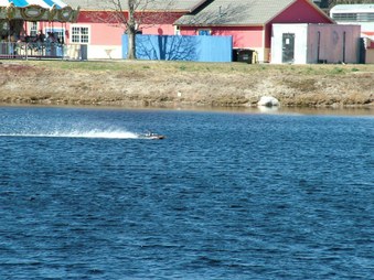 Enlarge photo 1419