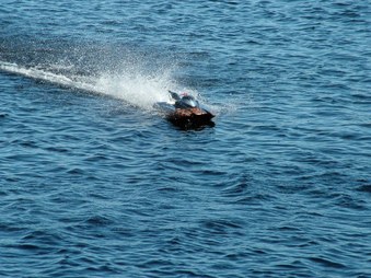 Enlarge photo 1425