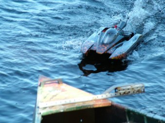 Enlarge photo 1427