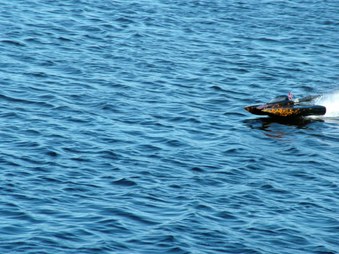 Enlarge photo 1437