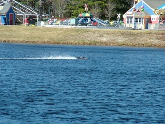 Enlarge photo 1441