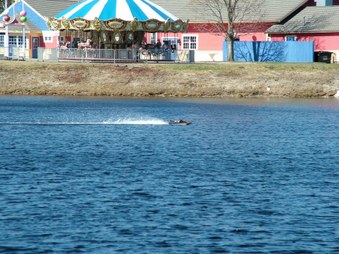 Enlarge photo 1442