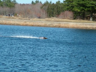 Enlarge photo 1446