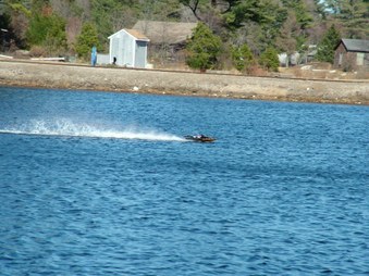 Enlarge photo 1447