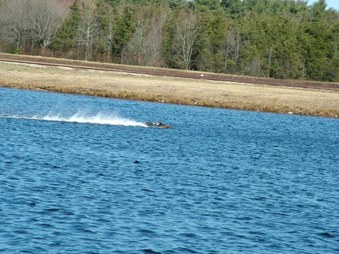 Enlarge photo 1449